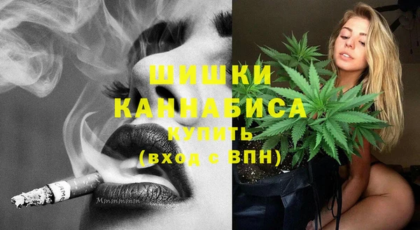 spice Новозыбков