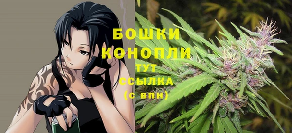 spice Новозыбков