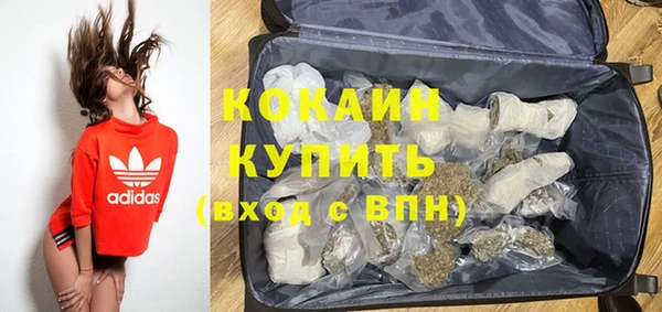 сатива Россошь