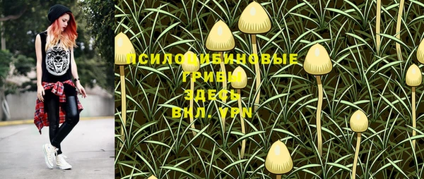 марки nbome Новодвинск
