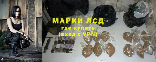 spice Новозыбков