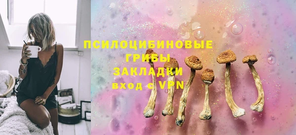 spice Новозыбков