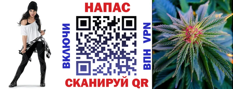 Бошки марихуана тримм  магазин продажи   Кондрово 